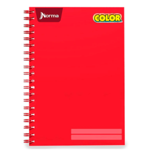 CUADERNO PROFESIONAL 100 HJS RAYA